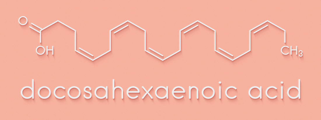 Does DHA from Fish Oil help prevent Brain Cancer?