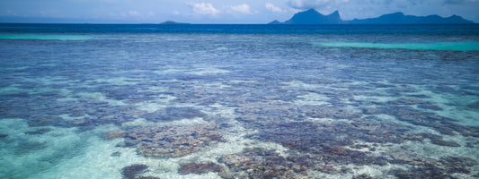 Coral Calcium... PART 2... questionable claims!