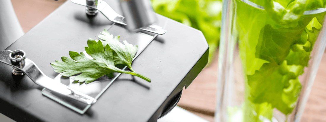 Using Science To Get The Best From Nature