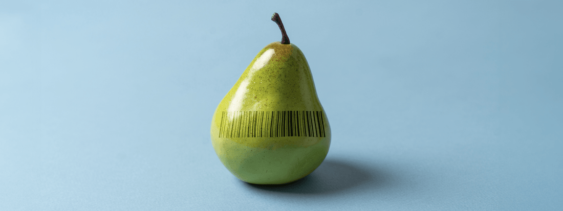 Back to Basics - Part two