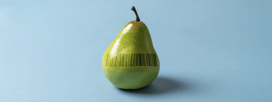 Back to Basics - Part two