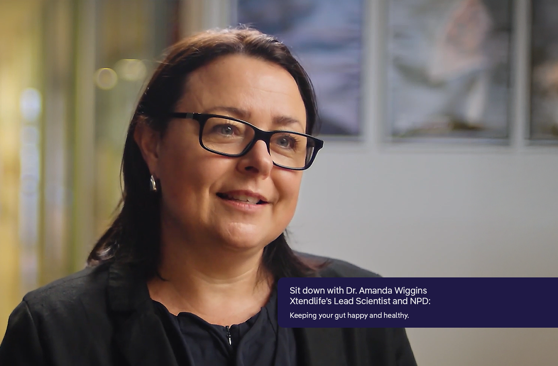 Gut Harmony: Your All-in-One Solution for a Healthy, Happy Gut