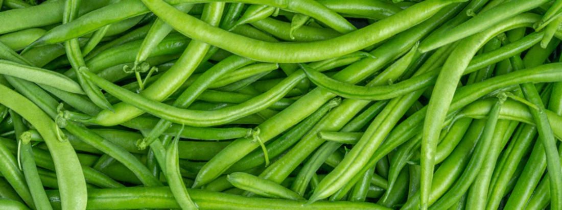 The Quiet Power of Molybdenum in a Balanced Diet